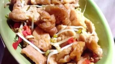 19 resep masakan sayur kecambah