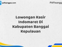 Lowongan Kasir Indomaret Di Kabupaten Banggai Maret Tahun 2025 (Cek Segera)
