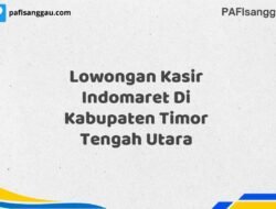 Lowongan Kasir Indomaret Di Kabupaten Timor Tengah Utara Maret Tahun 2025 (Cek Segera)