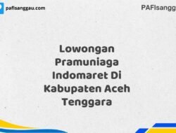 Lowongan Pramuniaga Indomaret Di Kabupaten Aceh Tenggara Tahun 2025 (Jangan Sampai Kehabisan, Daftar Sekarang)