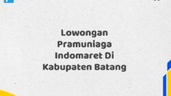 Lowongan Pramuniaga Indomaret Di Kabupaten Batang Maret Tahun 2025 (Lamar Sekarang)