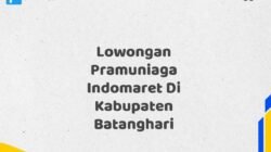 Lowongan Pramuniaga Indomaret Di Kabupaten Batanghari