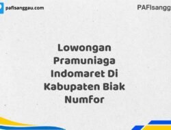 Lowongan Pramuniaga Indomaret Di Kabupaten Biak Numfor Tahun 2025 (Lamar Sekarang, Jangan Menunggu Lagi)