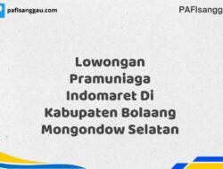 Lowongan Pramuniaga Indomaret Di Kabupaten Bolaang Mongondow Selatan Tahun 2025 (Pendaftaran Telah Dibuka)