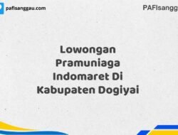 Lowongan Pramuniaga Indomaret Di Kabupaten Dogiyai Maret Tahun 2025 (Apply Now)