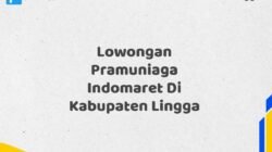 Lowongan Pramuniaga Indomaret Di Kabupaten Lingga