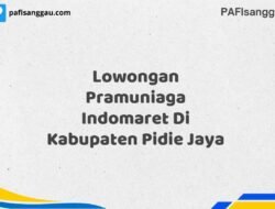 Lowongan Pramuniaga Indomaret Di Kabupaten Pidie Jaya Tahun 2025 (Ambil Kesempatan, Daftar Sekarang)