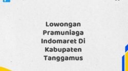 Lowongan Pramuniaga Indomaret Di Kabupaten Tanggamus