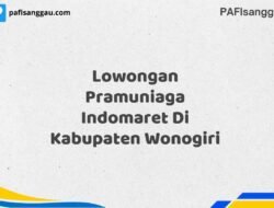 Lowongan Pramuniaga Indomaret Di Kabupaten Wonogiri Tahun 2025 (Pendaftaran Terbuka, Waktu Terbatas)