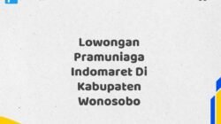 Lowongan Pramuniaga Indomaret Di Kabupaten Wonosobo