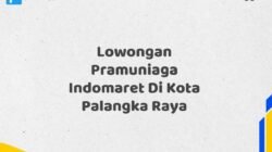 Lowongan Pramuniaga Indomaret Di Kota Palangka Raya Tahun 2025 (Daftar Segera, Pendaftaran Hanya Terbatas)