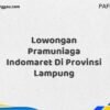 Lowongan Pramuniaga Indomaret Di Provinsi Lampung Maret Tahun 2025 (Segera)