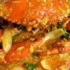 Resep Kepiting Saus Padang Pedas Gurih Bikin Nagih!