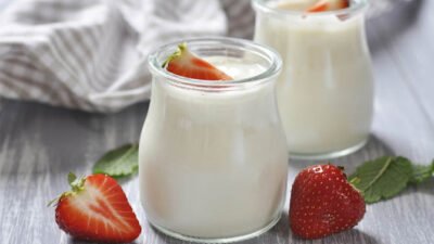 Resep Yogurt