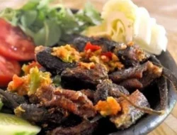 Resep Belut Anti Gagal 10 Menu Lezat Mudah!