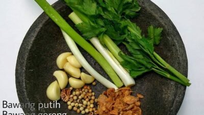 resep bumbu masakan indonesia