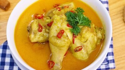resep masakan ayam berkuah santan