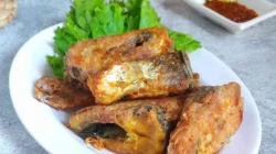 resep masakan bandeng presto