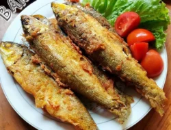 Resep Bandeng Segar Lezat Anti Amis Bikin Nagih!