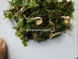 Resep Anti Kanker Payudara Menu Lezat Sehat untuk Kesembuhan