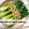 Resep Pakcoy AntiGagal 5 Menu Lezat Sehat!