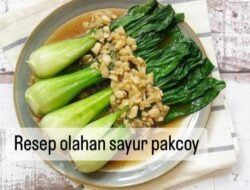 Resep Pakcoy AntiGagal 5 Menu Lezat Sehat!