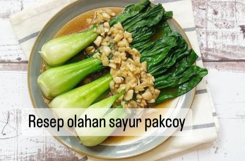 resep masakan dari pakcoy