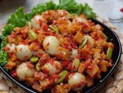 Resep Telur Puyuh 5 Menu Lezat AntiMainstream!