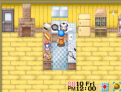 Rahasia Resep Terlezat Harvest Moon Friends of Mineral Town!