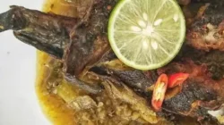 resep masakan ikan lele berkuah tanpa santan
