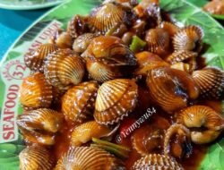 Resep Kerang Saus Padang Anti Gagal Lezat Mudah!