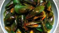 resep masakan kerang hijau