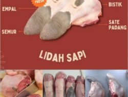 Resep Lidah Sapi Empuk Lezat Anti Gagal!