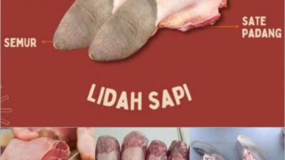 resep masakan lidah sapi