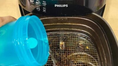 resep masakan menggunakan air fryer