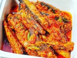 Resep Masakan Padang Berkuah 10 Rasa Legendaris Bikin Nagih!