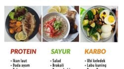 resep masakan rendah kalori tinggi protein