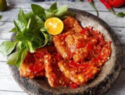 Resep Masakan Rumahan Anti Ribet Enak Hemat!