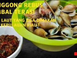 Resep Siput Laut Rahasia Rasa Mediterania di Dapur Anda
