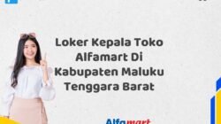 Loker Kepala Toko Alfamart Di Kabupaten Maluku Tenggara Barat