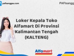 Loker Kepala Toko Alfamart Di Provinsi Kalimantan Tengah (KALTENG) Tahun 2025 (Jangan Menunggu, Daftar Segera)