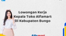 Lowongan Kerja Kepala Toko Alfamart Di Kabupaten Bungo