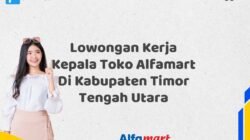 Lowongan Kerja Kepala Toko Alfamart Di Kabupaten Timor Tengah Utara